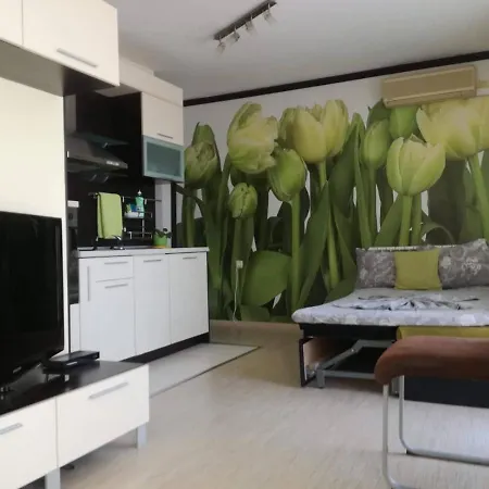 къща симона Китен