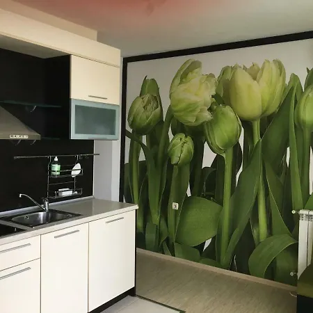 Гостевой дом къща симона 3*